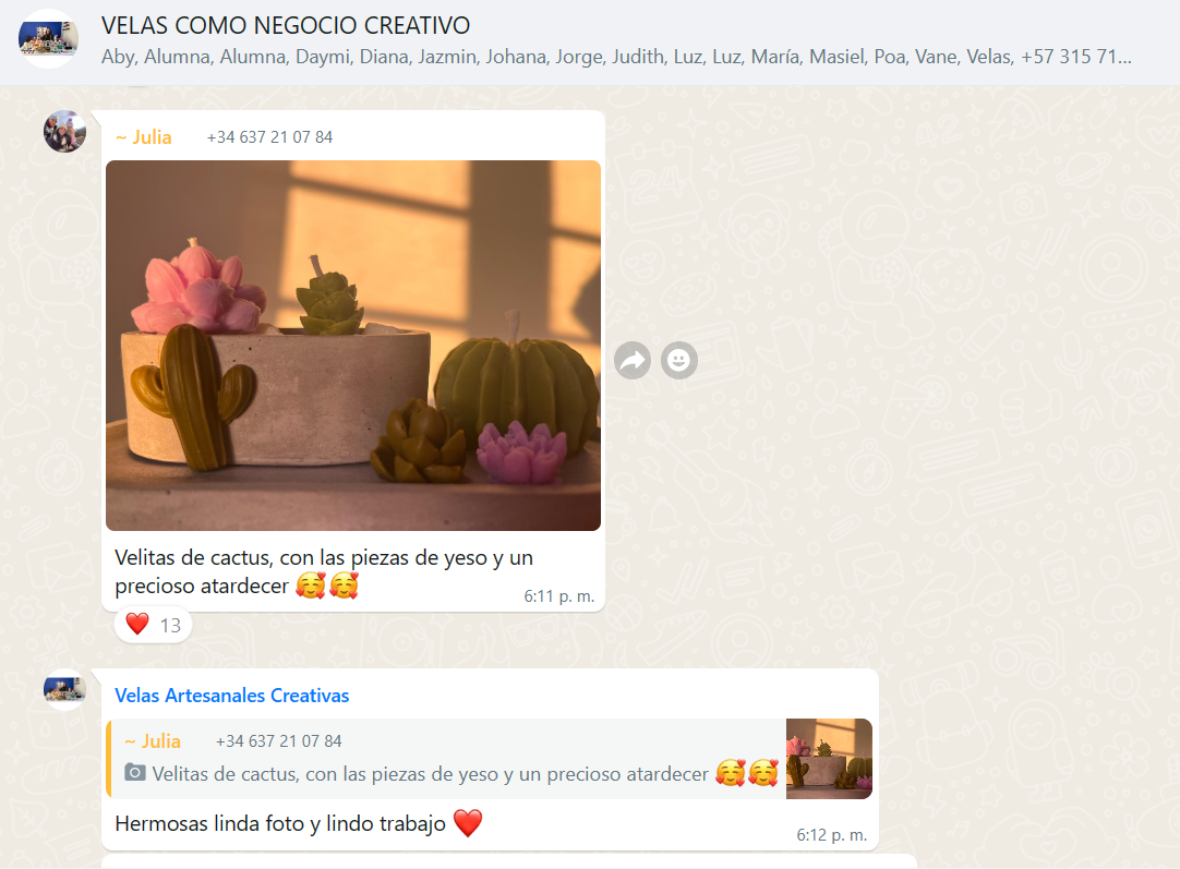 Chat de Whatsapp de Alumna de Velas 6